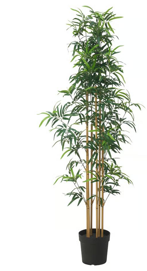 Buy & Sell Hertfordshire Welwyn Hatfield - Photos for Ikea FEJKA artificial bamboo plant