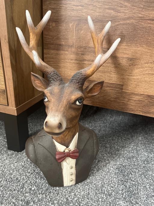 Buy & Sell South Yorkshire Rotherham - Photos for Stag head/bust unusual