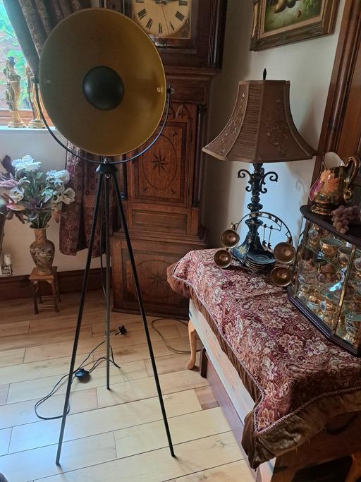 Buy & Sell Lye Dudley - Photos for Tall industrial style lamp