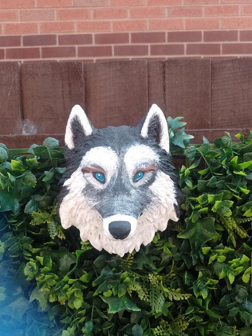 Buy & Sell Gornal Wood Dudley - Photos for Hanging wolf head ornament