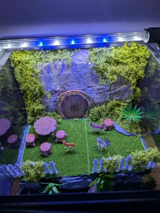 Buy & Sell Chorlton Cum Hardy Manchester - Photos for unique home made artificial scene in vivarium
