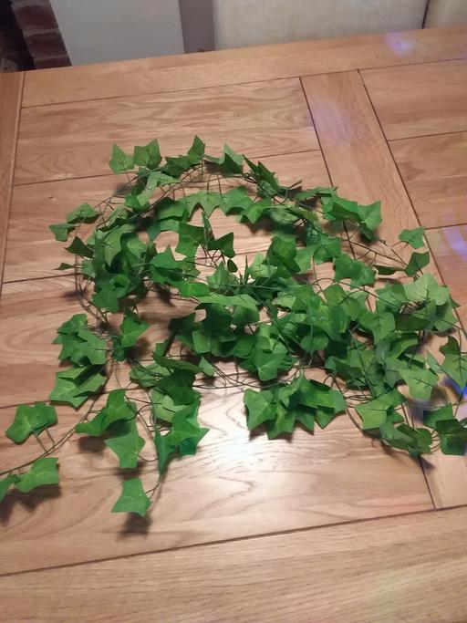 Buy & Sell Willenhall Walsall - Photos for Artificial Ivy