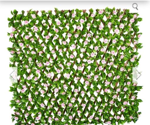 Buy & Sell Hurst Green Dudley - Photos for Expanding Artificial Foliage Screening - Cher