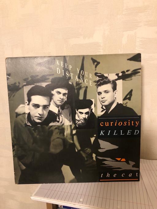 Buy & Sell Farington Moss South Ribble - Photos for Curiosity Killed the Cat - Vinyl Record LP