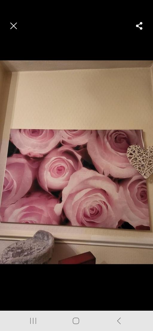 Buy & Sell Worsley Mesnes Wigan - Photos for Very large canvas