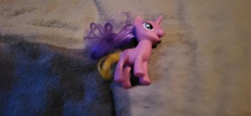 Buy & Sell Radcliffe Bury - Photos for my little pony