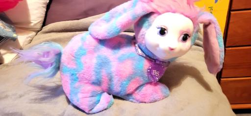 Buy & Sell Radcliffe Bury - Photos for soft toy