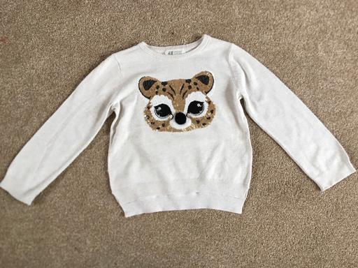 Buy & Sell Kings Heath Birmingham - Photos for Girls jumper