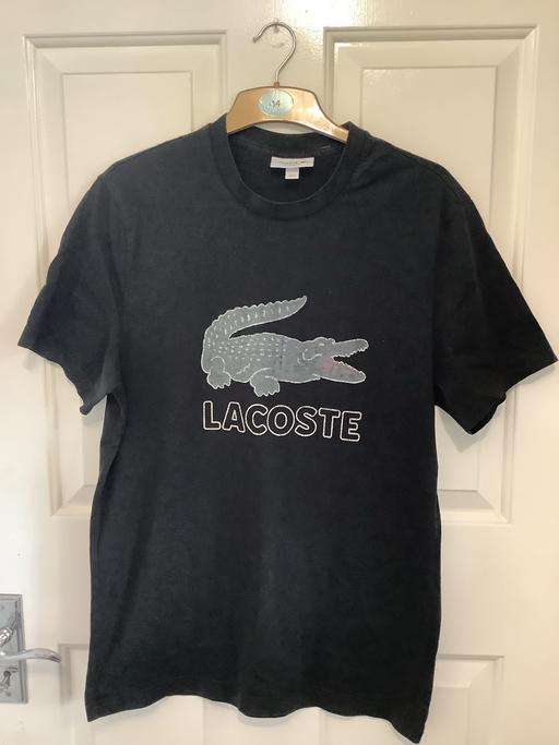 Buy & Sell Woodsetton Dudley - Photos for Lacoste t shirt