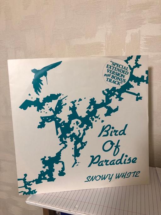 Buy & Sell Bamber Bridge South Ribble - Photos for Snowy White - Bird of Paradise - 12” Vinyl