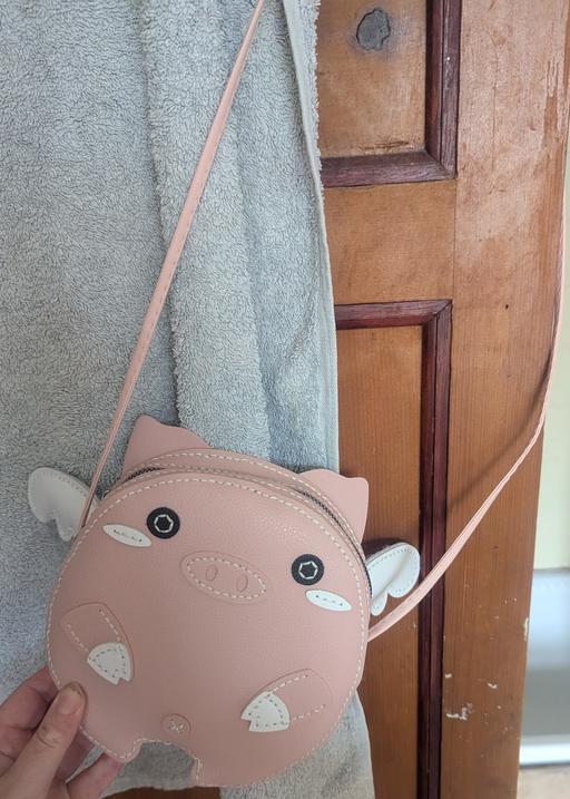 Buy & Sell Pwllheli Gwynedd - Photos for Handsewn Flying Pig Bag