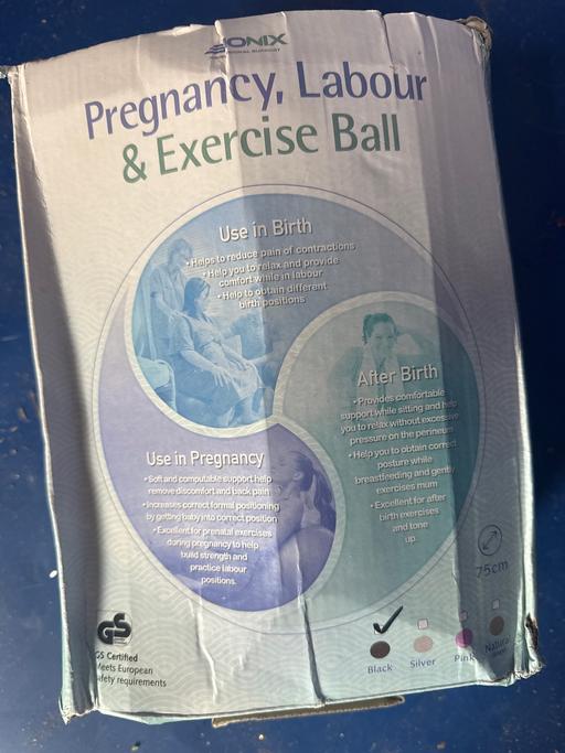 Buy & Sell Leigh Sports Village Wigan - Photos for Pregnancy exercise ball