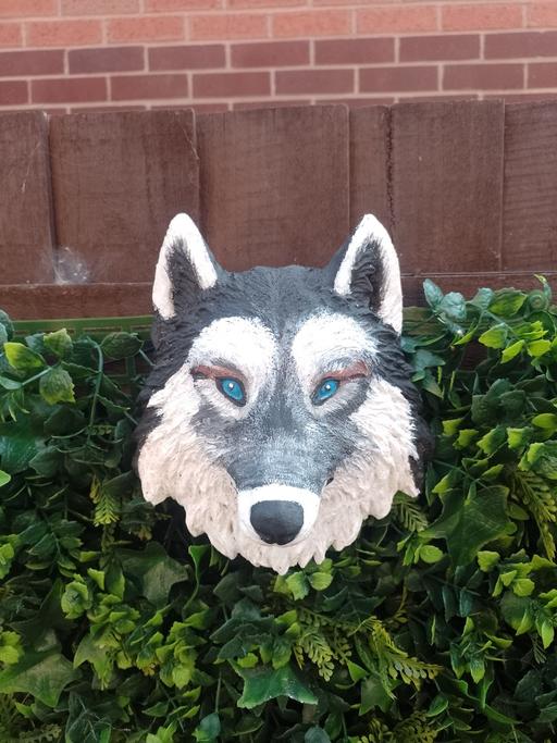 Buy & Sell Gornal Wood Dudley - Photos for Hanging Wolf Head