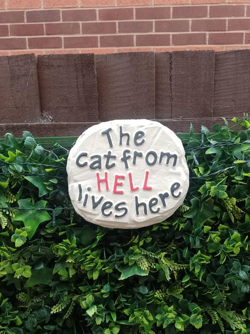 Buy & Sell Lower Gornal Dudley - Photos for The cat from hell lives here garden sign