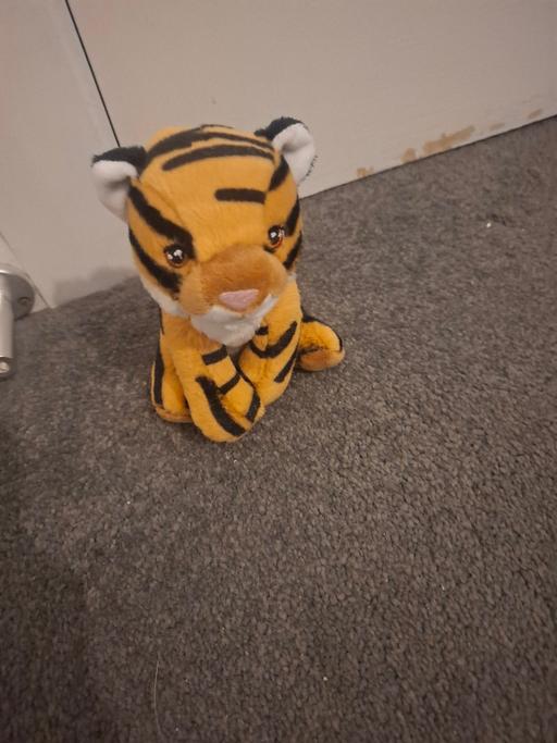 Buy & Sell Dodworth Barnsley - Photos for teddy