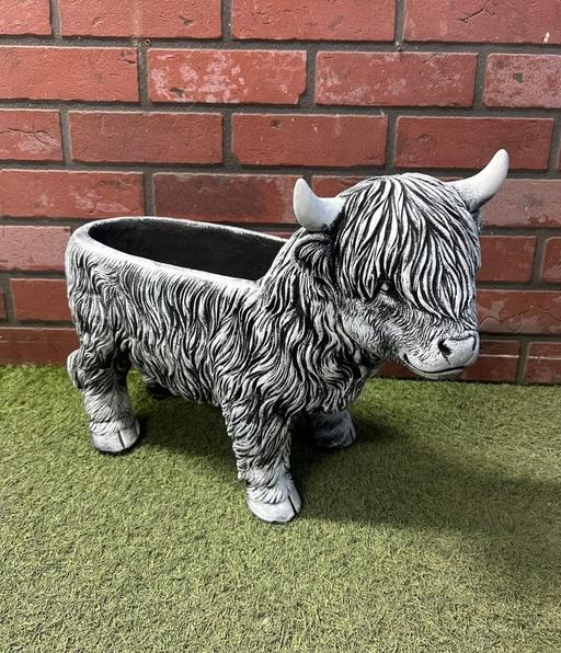 Buy & Sell Moseley Birmingham - Photos for Highland Cow Planter