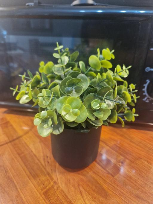 Buy & Sell Hall Green Birmingham - Photos for green artificial plant in black pot