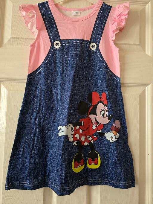 Buy & Sell Blackpool Town Centre Blackpool - Photos for Minnie Mouse dress age 4-5 yrs NEW
