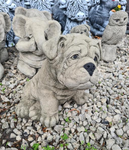 Buy & Sell Moseley Birmingham - Photos for Bulldog Statue
