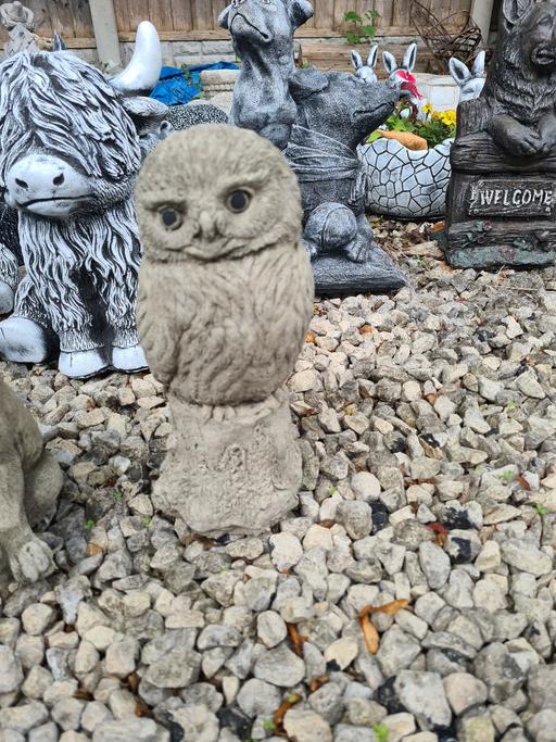 Buy & Sell Moseley Birmingham - Photos for Barn Owl Statue