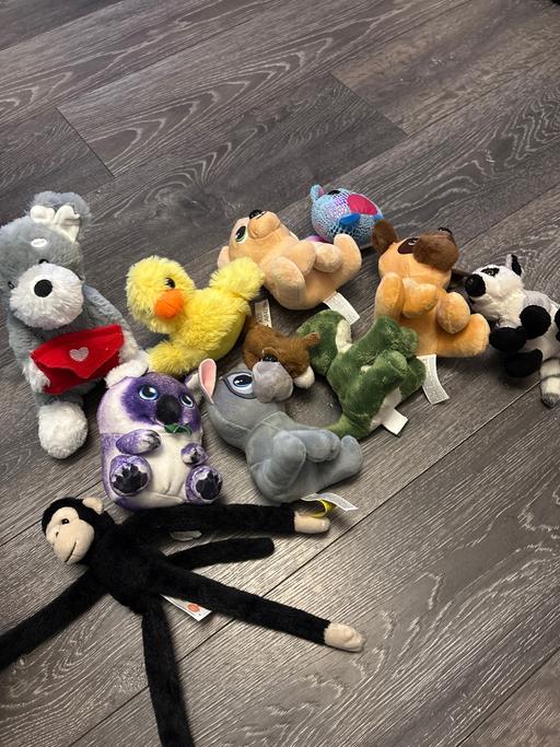 Buy & Sell Woodsetton Dudley - Photos for Small bundle of soft toys