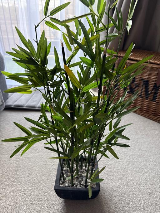 Buy & Sell Stevenage Town Centre Stevenage - Photos for Artificial bamboo plant 65cm tall