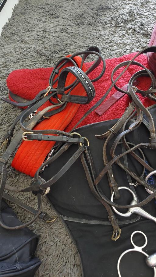 Buy & Sell Bapchild Swale - Photos for bundle of equine stuff an I have alot more ..