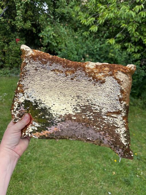 Buy & Sell Earlsheaton Kirklees - Photos for Beautiful Brushed sequin cushion