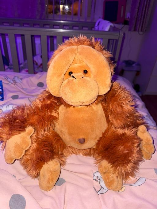 Buy & Sell Croxteth Liverpool - Photos for Monkey Soft Toy