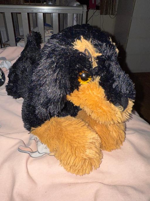 Buy & Sell Merseyside Liverpool - Photos for Dog Soft Toy