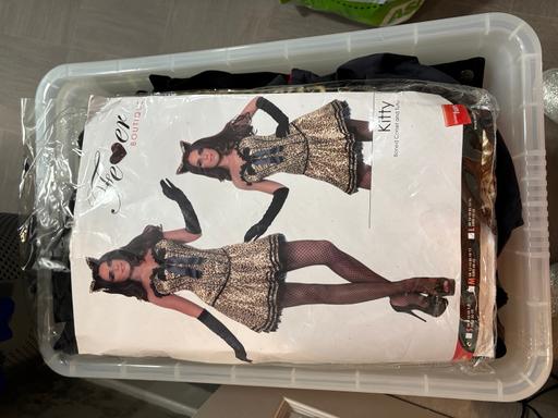 Buy & Sell Baginton Warwick - Photos for Fancy dress costume