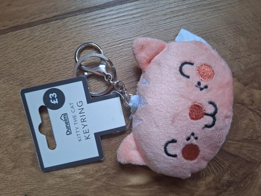Buy & Sell Ettingshall Park Wolverhampton - Photos for New Cat Purse