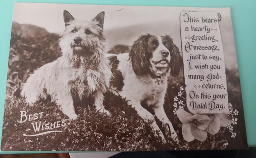 Buy & Sell Thatto Heath Saint Helens - Photos for Antique 1930s real photo dogs postcard