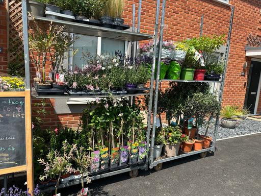 Buy & Sell Shipley Bridge Tandridge - Photos for Plant stall in Crawley copthorne