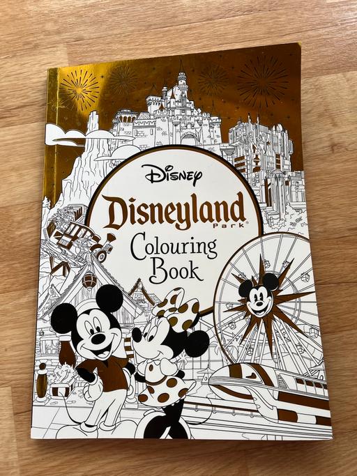 Buy & Sell Ettingshall Park Wolverhampton - Photos for DISNEYLAND COLOURING BOOK