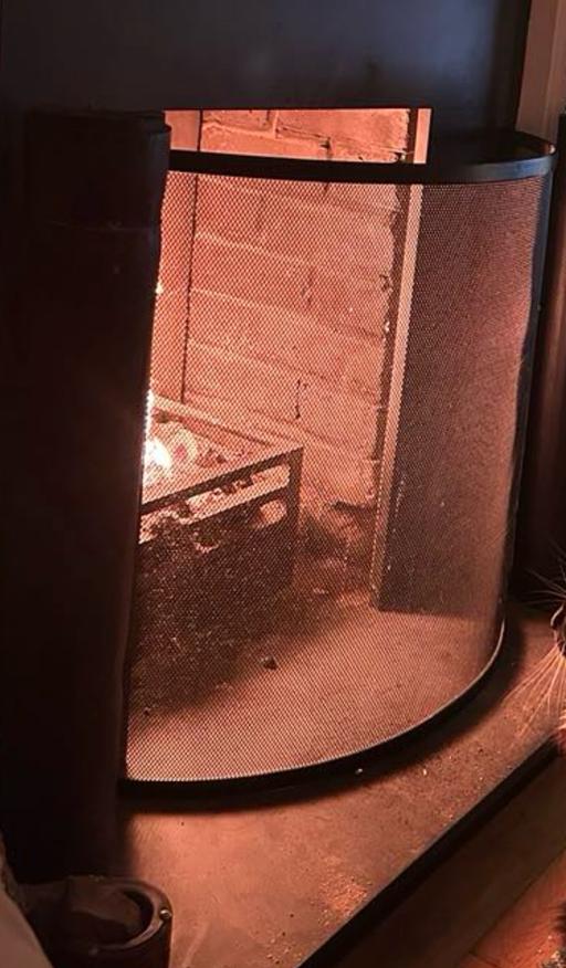 Buy & Sell Richmond Richmond upon Thames - Photos for Fire guard