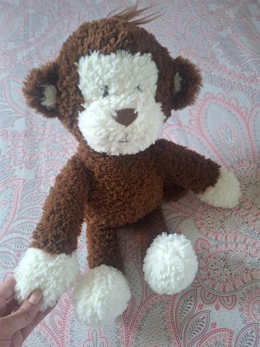 Buy & Sell Dodworth Barnsley - Photos for monkey teddy