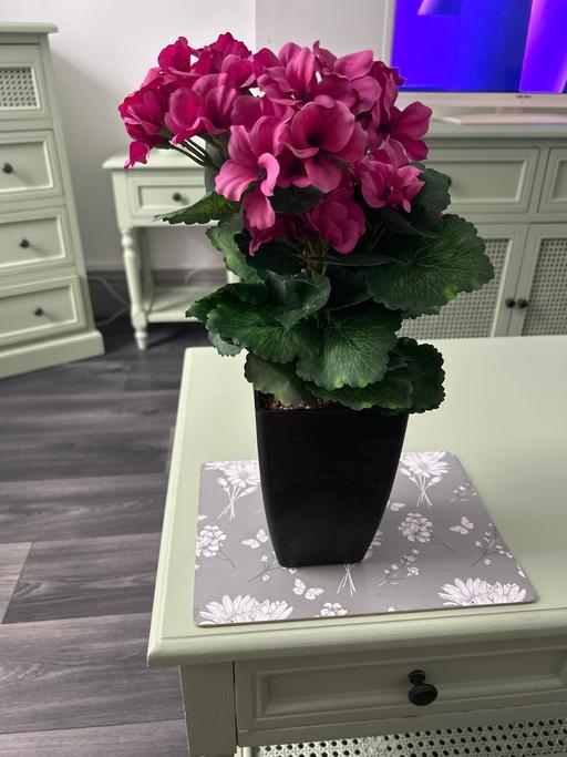 Buy & Sell South Yorkshire Barnsley - Photos for Artificial plant ex condition
