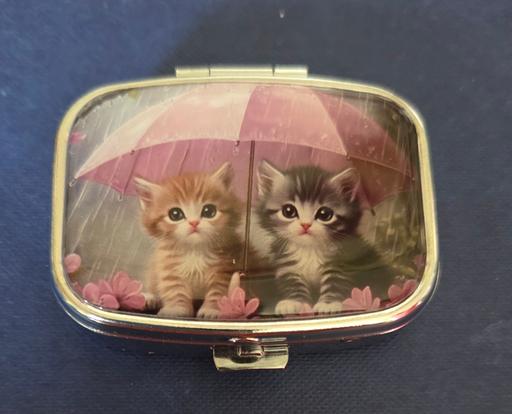 Buy & Sell Westgate-on-Sea Thanet - Photos for KITTENS THEMED PILL POT