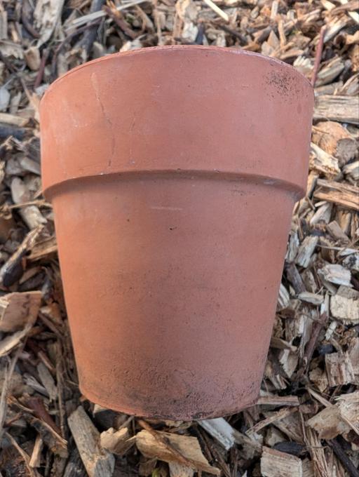 Buy & Sell Blackhorse Road East London - Photos for Terracotta clay plant pot