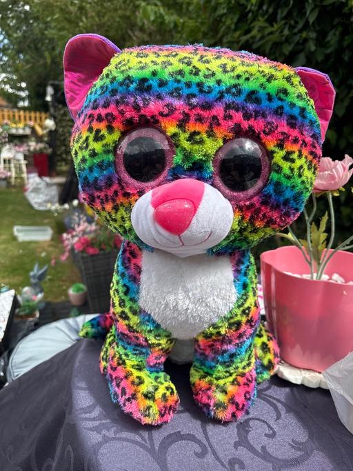 Buy & Sell Cheshunt Broxbourne - Photos for Teddy