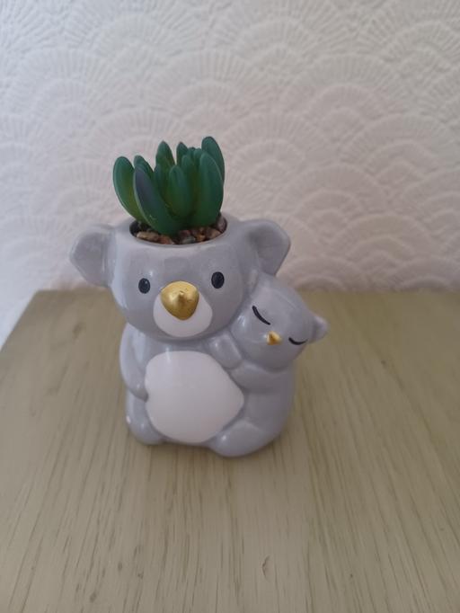 Buy & Sell Eckington North East Derbyshire - Photos for faux plant