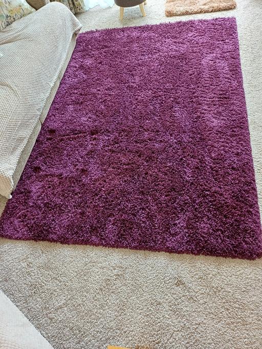 Buy & Sell St Paul`s Cray South East London - Photos for New Beautiful Deep Pile Violet Shaggy Rug