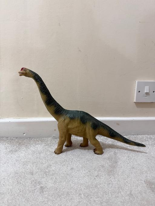 Buy & Sell Four Oaks Birmingham - Photos for Dinosaur