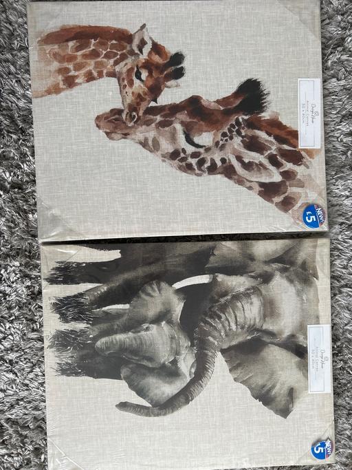 Buy & Sell Dovecot Knowsley - Photos for 2 x animal canvas. Elephant/ giraffe. New