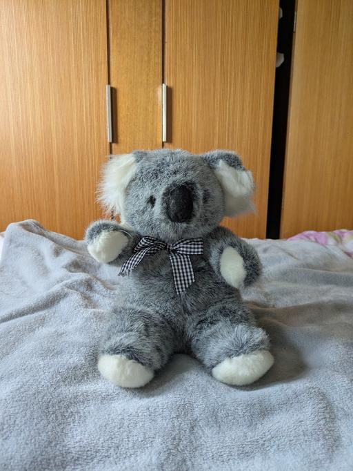 Buy & Sell Parkfields Wolverhampton - Photos for Koala Bear