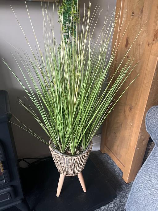 Buy & Sell South Yorkshire Doncaster - Photos for Large grass artificial plant in standing pot