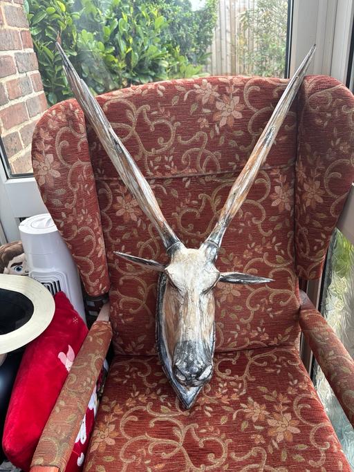 Buy & Sell Kidbrooke South East London - Photos for Vintage wall mounted wooden stag H30in W23in