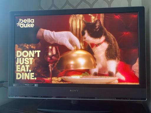 Buy & Sell West Midlands Walsall - Photos for Sony Bravo tv WCGCCFl