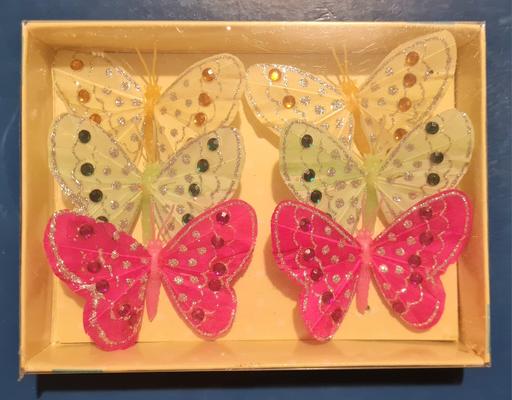 courses West Midlands Walsall - Photos for 1 box butterflies